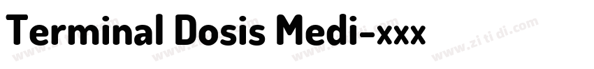Terminal Dosis Medi字体转换